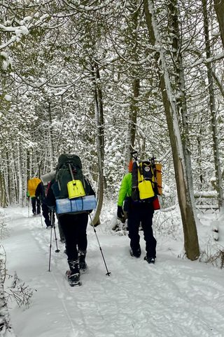 Photo from Snowshoeing From Cyprus Lake To Stormhaven