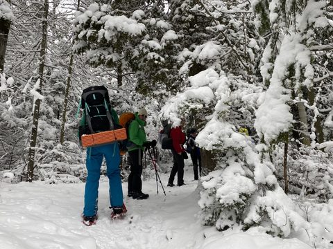 Photo from Snowshoeing From Cyprus Lake To Stormhaven
