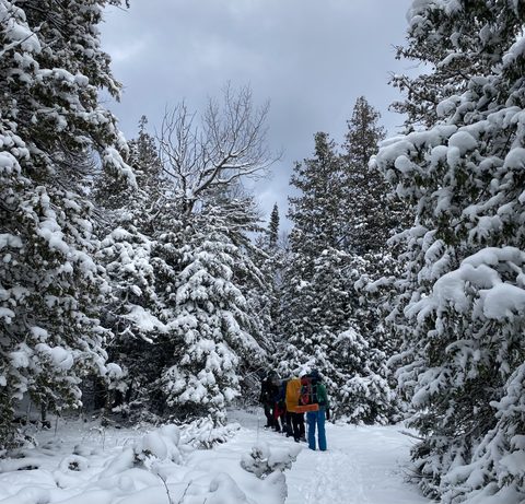 Photo from Snowshoeing From Cyprus Lake To Stormhaven