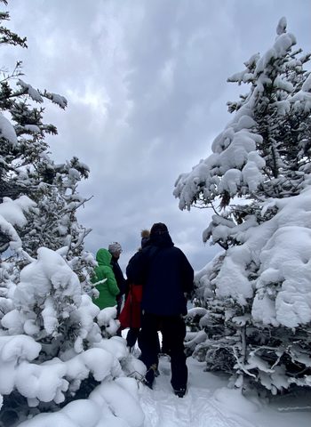 Photo from Snowshoeing From Cyprus Lake To Stormhaven
