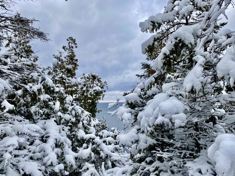 Photo from Snowshoeing From Cyprus Lake To Stormhaven