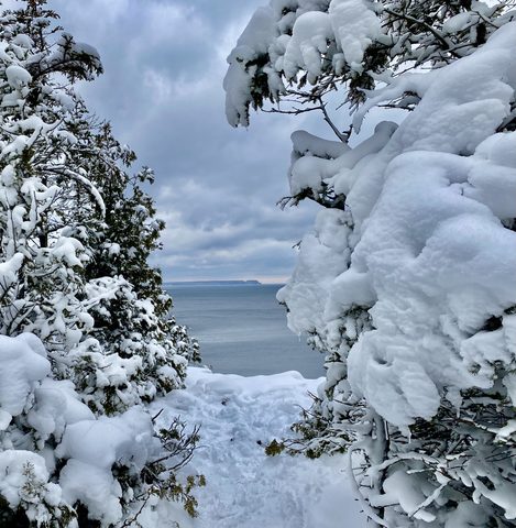 Photo from Snowshoeing From Cyprus Lake To Stormhaven
