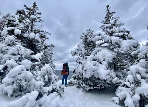 Photo from Snowshoeing From Cyprus Lake To Stormhaven