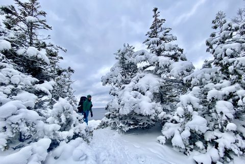Photo from Snowshoeing From Cyprus Lake To Stormhaven