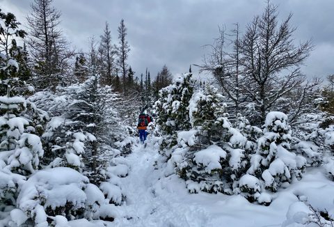 Photo from Snowshoeing From Cyprus Lake To Stormhaven