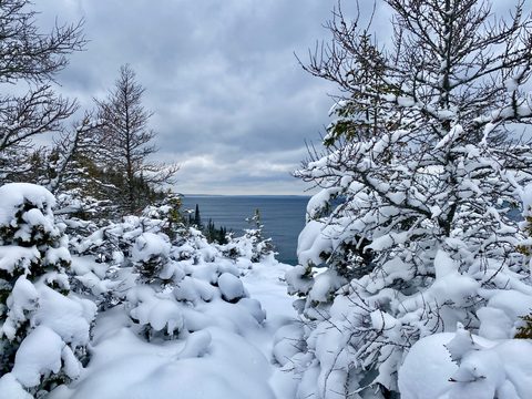 Photo from Snowshoeing From Cyprus Lake To Stormhaven