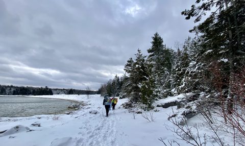 Photo from Snowshoeing From Cyprus Lake To Stormhaven