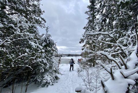Photo from Snowshoeing From Cyprus Lake To Stormhaven