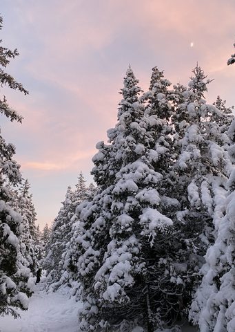 Photo from Snowshoeing From Cyprus Lake To Stormhaven