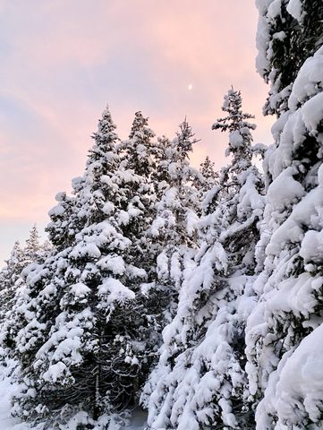 Photo from Snowshoeing From Cyprus Lake To Stormhaven