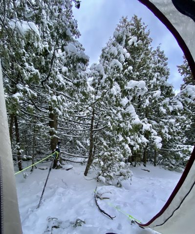 Photo from Snowshoeing From Cyprus Lake To Stormhaven