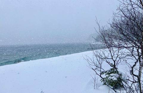 Photo from Snowshoeing From Cyprus Lake To Stormhaven