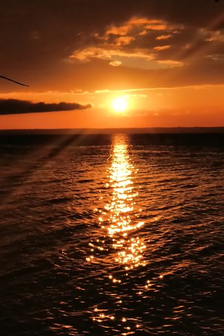 Photo from Franklin Island Sea Kayaking
