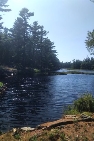 Photo from Franklin Island Sea Kayaking