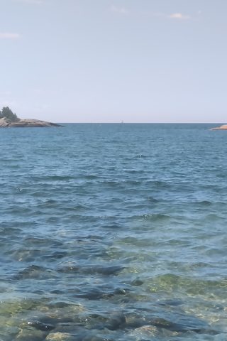 Photo from Franklin Island Sea Kayaking