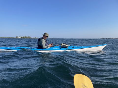 Photo from Franklin Island Sea Kayaking
