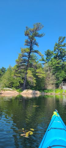 Photo from More Kayaking Georgian Bay