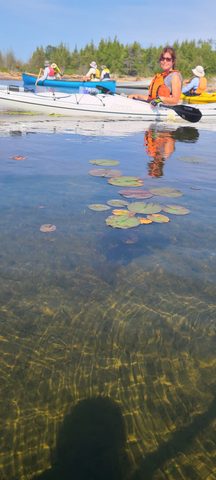 Photo from More Kayaking Georgian Bay