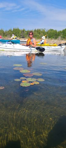 Photo from More Kayaking Georgian Bay