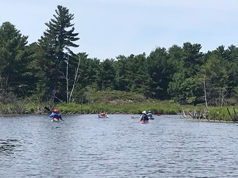 Photo from More Kayaking Georgian Bay