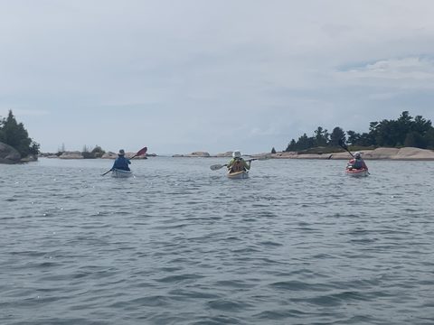 3 Deltas