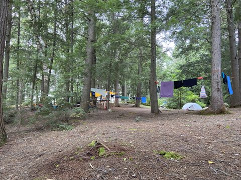 Photo from Backcountry Canoe Trip in Algonquin Provincial Park