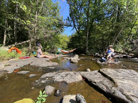 Photo from Backcountry Canoe Trip in Algonquin Provincial Park