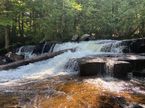 Photo from Backcountry Canoe Trip in Algonquin Provincial Park
