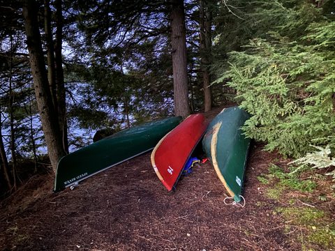 Photo from Backcountry Canoe Trip in Algonquin Provincial Park