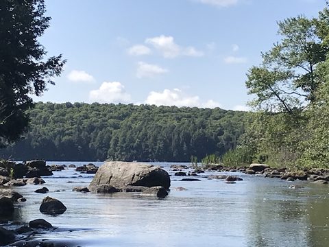 Photo from Backcountry Canoe Trip in Algonquin Provincial Park