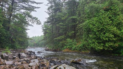 Photo from Temagami Canada Day Canoe Trip