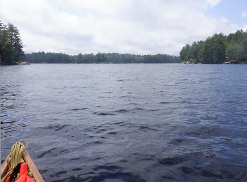 Photo from Celebrate Canada Day in Noganosh