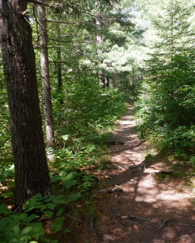 Photo from Celebrate Canada Day in Noganosh