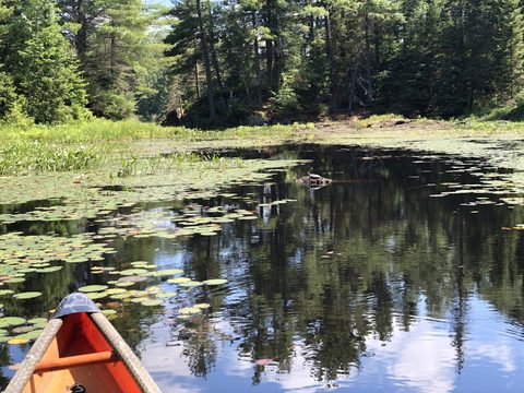 Photo from Celebrate Canada Day in Noganosh