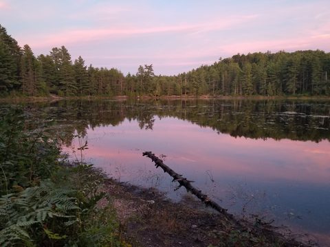 Photo from Backpacking Algonquin’s Eastern Pines Trail