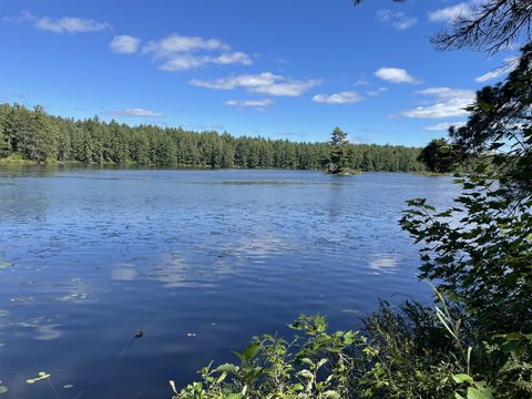 Photo from Backpacking Algonquin’s Eastern Pines Trail