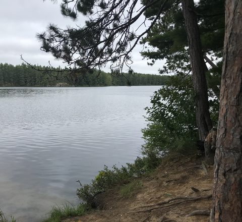 Photo from Backpacking Algonquin’s Eastern Pines Trail