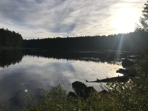 Photo from Backpacking Algonquin’s Eastern Pines Trail
