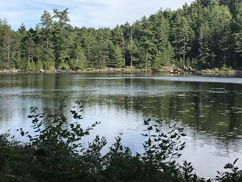 Photo from Backpacking Algonquin’s Eastern Pines Trail