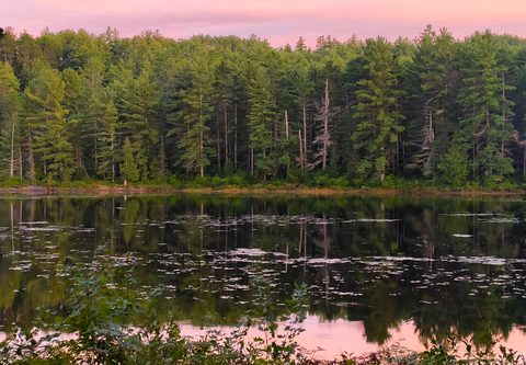 Photo from Backpacking Algonquin’s Eastern Pines Trail