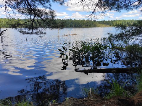 Photo from Backpacking Algonquin’s Eastern Pines Trail