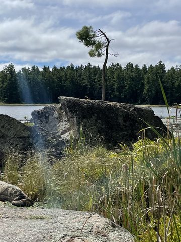 Photo from Backpacking Algonquin’s Eastern Pines Trail