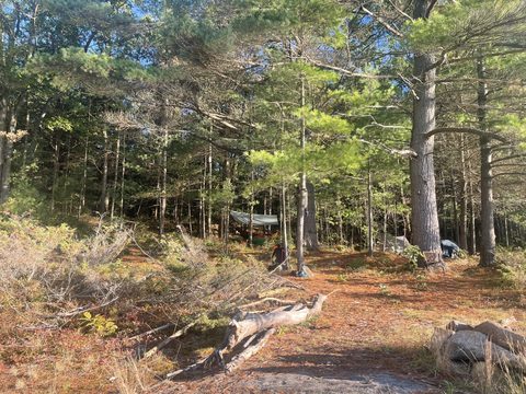 Photo from Introduction to backpacking - A first trip with Tim
