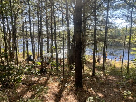 Photo from Introduction to backpacking - A first trip with Tim