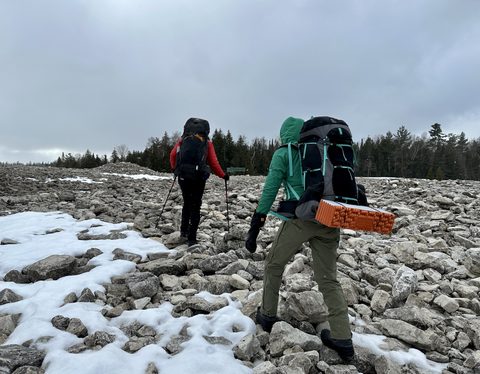 Photo from Snowshoeing Bruce National Park