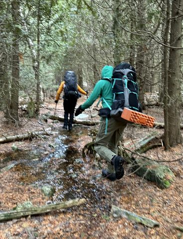 Photo from Snowshoeing Bruce National Park