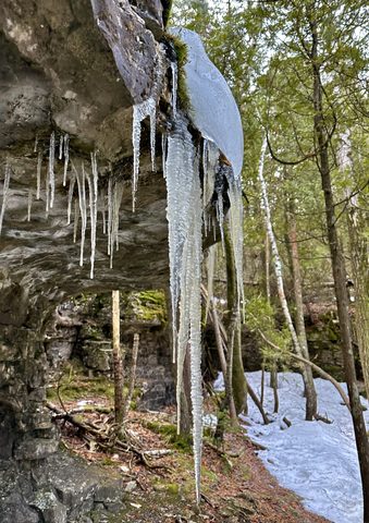 Photo from Snowshoeing Bruce National Park