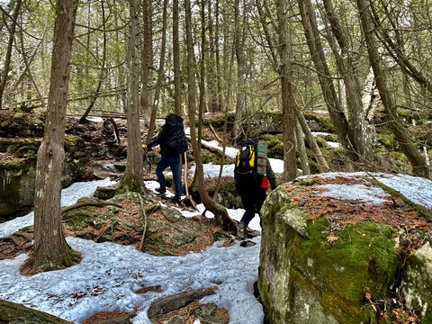 Photo from Snowshoeing Bruce National Park