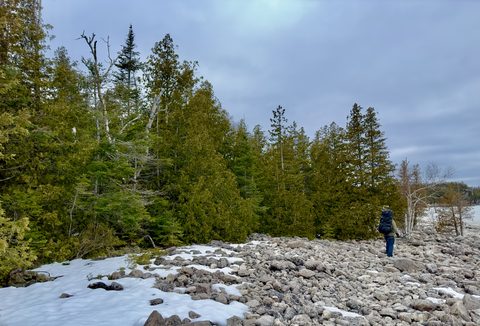 Photo from Snowshoeing Bruce National Park