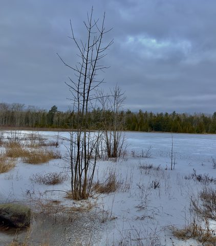 Photo from Snowshoeing Bruce National Park